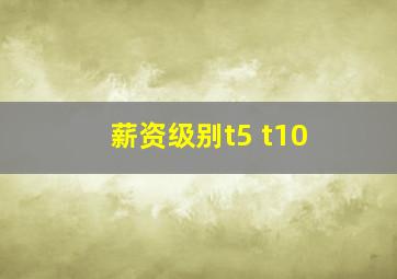 薪资级别t5 t10